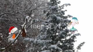 SEiN  HiER sein  kurz Meditation mit ELiN im Schnee [upl. by Ecnerolf703]