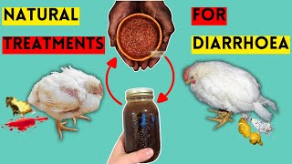 MY 6 BEST NATURAL TREATMENTS FOR DIARRHOEA IN CHICKENS  FOWL POX  DEWORMERS  COCCIDIOSIS [upl. by Kancler]