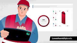 Mold vs Mildew Whats the Difference [upl. by Nitsej]