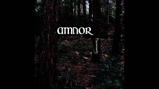 Amnor The Handmaid Raises the Queen Fantasy SynthAcoustic [upl. by Orelie]