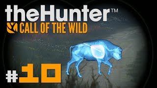 🦌 theHunter Call of the Wild 10  LOS BISONTES ENFERMOS  Gameplay en Español [upl. by Debora605]