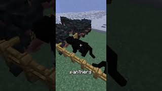 Helping the nicest Minecraft player minecraft [upl. by Evangelist635]