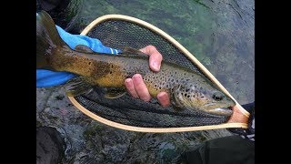 Peche truite Sorgue Juin 2018 avec des poissons de  de 40 cm by ZZF [upl. by Madoc]