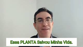 Essa PLANTA Salvou Minha Vida [upl. by Naoh]