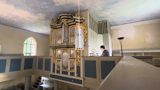 SchnitgerOrgel Blankenhagen JPSweelinck 15621621  Präludium FDur [upl. by Finn869]