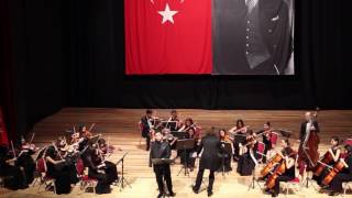 Schubert  Der Erlkönig String Orchestra  Lacin Modiri [upl. by Latsyrd]