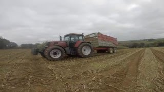 Ensilage 2015 GO PRO [upl. by Nat]