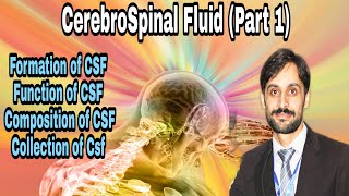 Cerebrospinal fluid  Part1 FormationFunctionComposition amp Collection [upl. by Kaehpos]