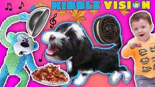 OUR PUPPY DOG TALKING ABOUT FOOD  FUNnel Vis OREO Songs Compilation Vlog  Climbing Wall T [upl. by Mairhpe]