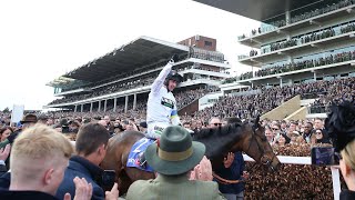 2023 Champion Hurdle Best Bets  Cheltenham Preview Night [upl. by Novoj669]