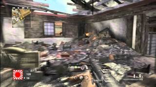 Call Of Duty World at War Lag Switch [upl. by Bettine]