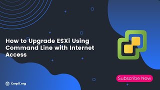 How to Upgrade ESXi Using Command Line with Internet Access [upl. by Donnamarie]