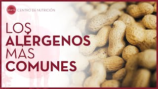 Los alérgenos más comunes  Introducción a las alergias e intolerancias alimentarias [upl. by Nhtanhoj309]