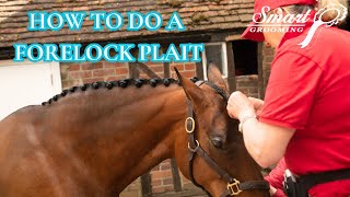 HOW TO PLAIT A FORELOCK [upl. by Shulem309]