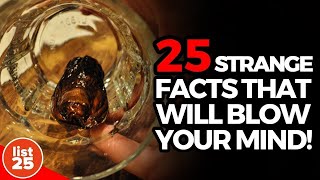 25 Strangest Facts Guaranteed to Blow Your Mind [upl. by Benedict]