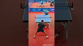 Point 🏓 Topspin amp Counter Topspin tabletennisstrokes [upl. by Novyak]