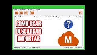 Como Usar Megadownloader [upl. by Negeam]