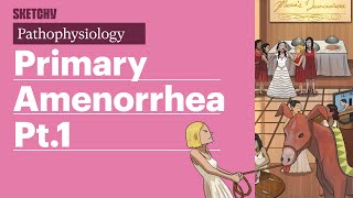 Amenorrhea Pathophysiology Part 1  Sketchy Medical  USMLE Step 1 [upl. by Crispa]