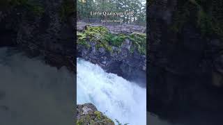 Little Qualicum Falls Vancouver Island travel waterfall nature trending trendingshorts [upl. by Avery]