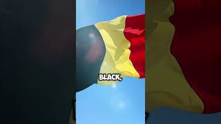 🌍Discover Belgiums Geography amp Flag in 60 Seconds ✨belgium geography flag [upl. by Lasiaf]