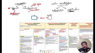 hypoglycemic drugs  Endocrinology Diabetes L3 part 2 BY DR ANTONIUS [upl. by Polinski]