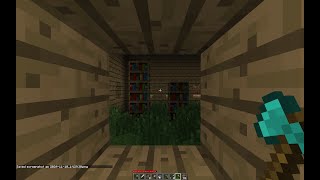 MINECRAFT  BUILDING A LIBRARY [upl. by Sola930]