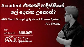 Accident එකකදි හදිස්සියේ ලේ දෙන්න උනොත් ABO Blood Grouping System amp Rhesus System AL Biology [upl. by Nired]