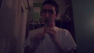 Harry Potter main theme  Tin Whistle [upl. by Perlman]