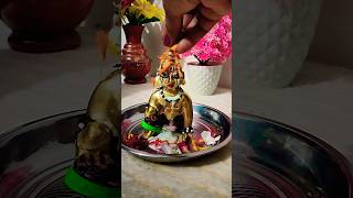 Laddu gopal sanan short radheradhe [upl. by Tada]