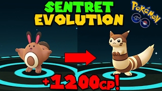 Evolving SENTRET to FURRET Pokemon Go GEN 2 Evolution [upl. by Renaud85]