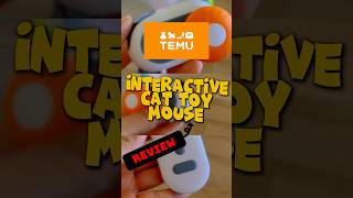 REVIEW Interactive Mouse Automatic with Remote Control Cat Toy from Temu [upl. by Fineman]