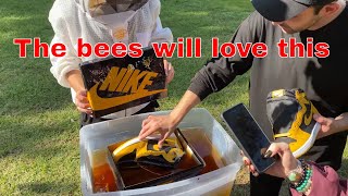 Soaking Shoes In Honey [upl. by Ogden]