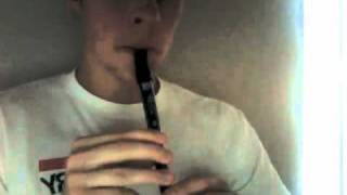 quotConcerning Hobbitsquot on Tin Whistle [upl. by Ferree]