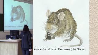 Fleas rats and other stories  The palaeoecology of the Black Death [upl. by Doak]