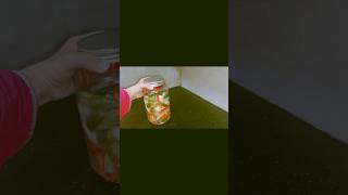 Instant Achar Recipe food cooking viralreels sorts [upl. by Hnamik]