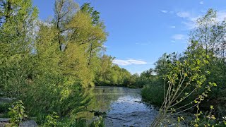 Traunauen in Ebelsberg bei Linz [upl. by Laumas507]