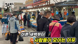 새벽부터 사람이 정말 많은데 그 가격이 충격적 [upl. by O'Toole]