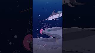 Swordfish ⚔️🐟 animation original cartoon [upl. by Robena]