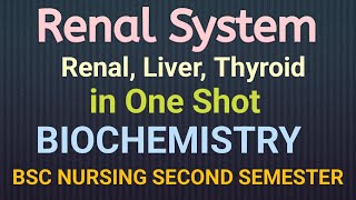 Renal System in Biochemistry ONE SHOT [upl. by Ardnaed]