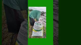 OValley Soil Conditioner [upl. by Hadnama]