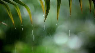 3 Hours Relaxing Sleep Music with Rain Sounds  Peaceful Music in the Warm Bedroom Stress Relief [upl. by Bodkin734]