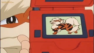 Pokedex 059 Arcanine [upl. by Eustatius]