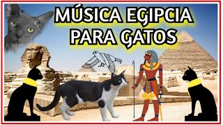 Música Gatos Egipcios Música Egipcia antigua para gatos [upl. by Rednaskela316]