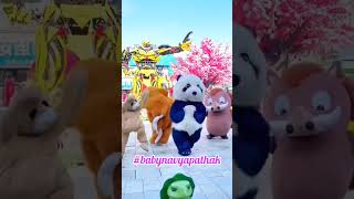 cute panda video panda shorts [upl. by Utir444]