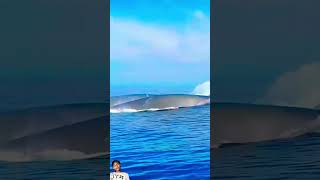 nature song ocean beach music love bhojpurisong funny automobile [upl. by Acnayb]