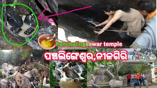 Panchalingeswar Temple Panchalingeswar Mandir Video NilagiriBalasoreOdishaIndia [upl. by Layney]