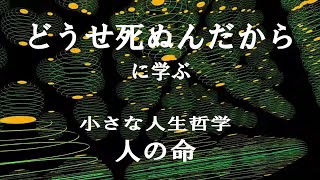 どうせ死ぬんだから に学ぶ 小さな人生哲学「人の命」 [upl. by Nytsud]