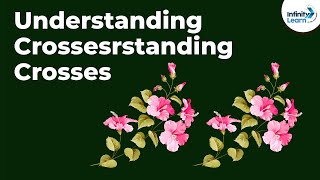 Genetics  Understanding Crosses  Lesson 6  Dont Memorise [upl. by Ethelstan]