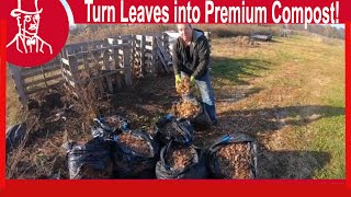 How to Compost Leaves Easy and Fast [upl. by Nager847]