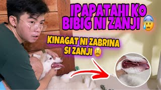 KINAGAT NI ZABRINA SI ZANJI SUBRANG LAKI NEED KO IPATAHI TO [upl. by Sacken]